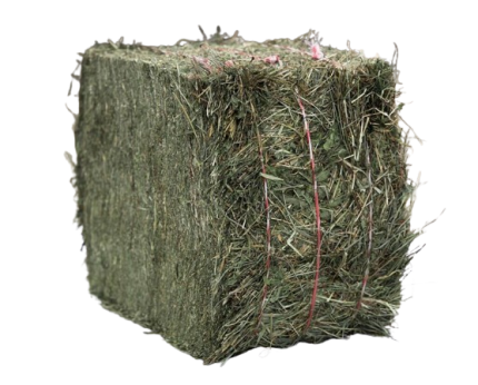 Crau-Heu – 1 Tonne (1.000 kg)
