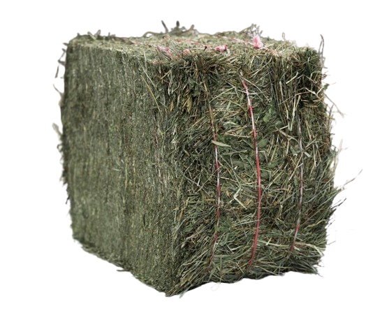 Crau-Heu – 1 Tonne (1.000 kg)