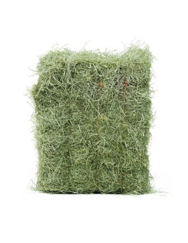 Natur-Wiesen-Dürrfutter – 1 Tonne (1.000 kg)