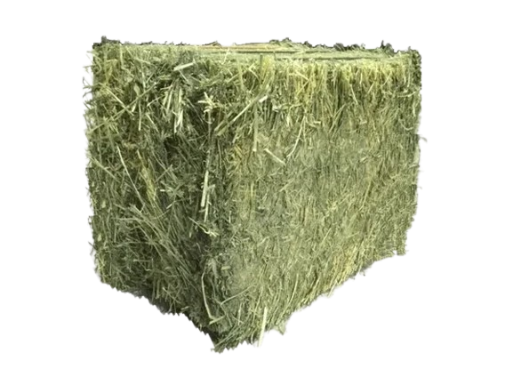 Luzerne-Dürrfutter – Tonne (1.000 kg)