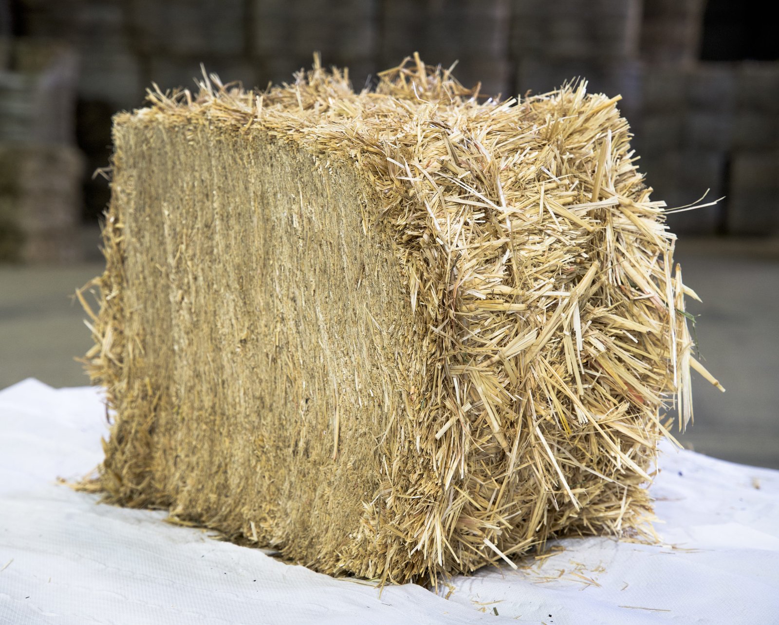 Weizenstroh – 1 Tonne (1.000 kg)